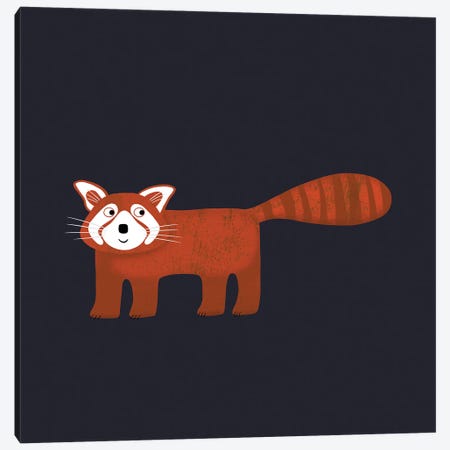 Red Panda In The Dark Canvas Print #NSQ226} by Nic Squirrell Canvas Wall Art