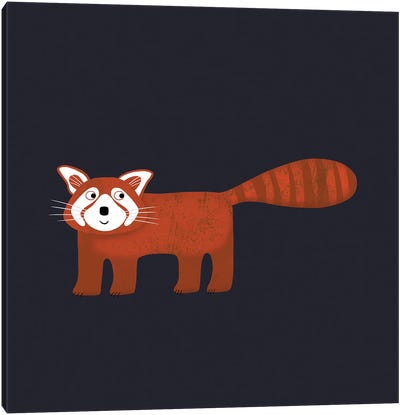 Red Panda In The Dark Canvas Art Print - Nic Squirrell
