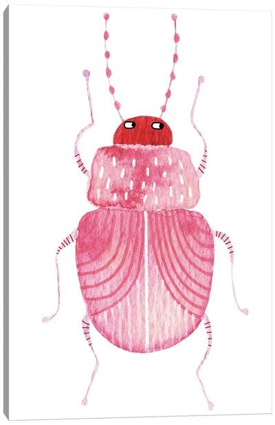 Sarcastic Beetle Canvas Art Print - Beetle Art
