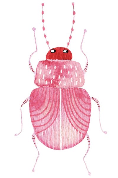 Beetles: Sarcastic Beetle by Nic Squirrell