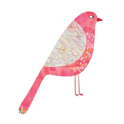 Sarcastic Bird by Nic Squirrell framed canvas print