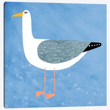 Seagull Blue Canvas Print #NSQ240} by Nic Squirrell Art Print