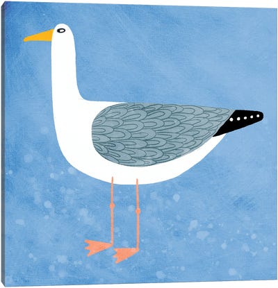 Seagull Blue Canvas Art Print - Nic Squirrell