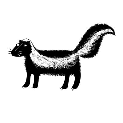 Skunk by Nic Squirrell art print