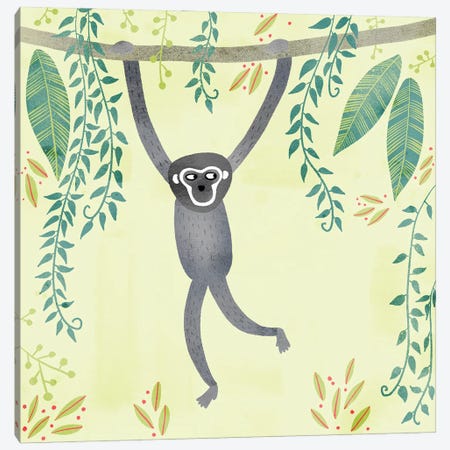 Gibbon Canvas Print #NSQ25} by Nic Squirrell Art Print