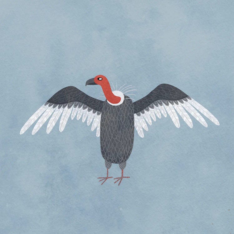Vulture by Nic Squirrell wall art