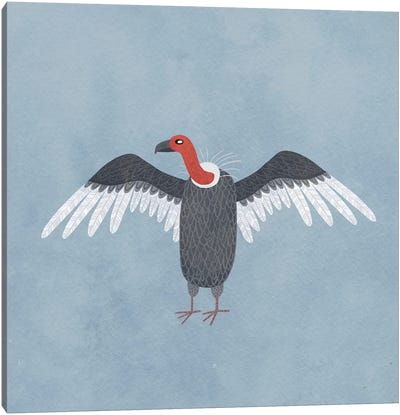Vulture Canvas Art Print - Nic Squirrell