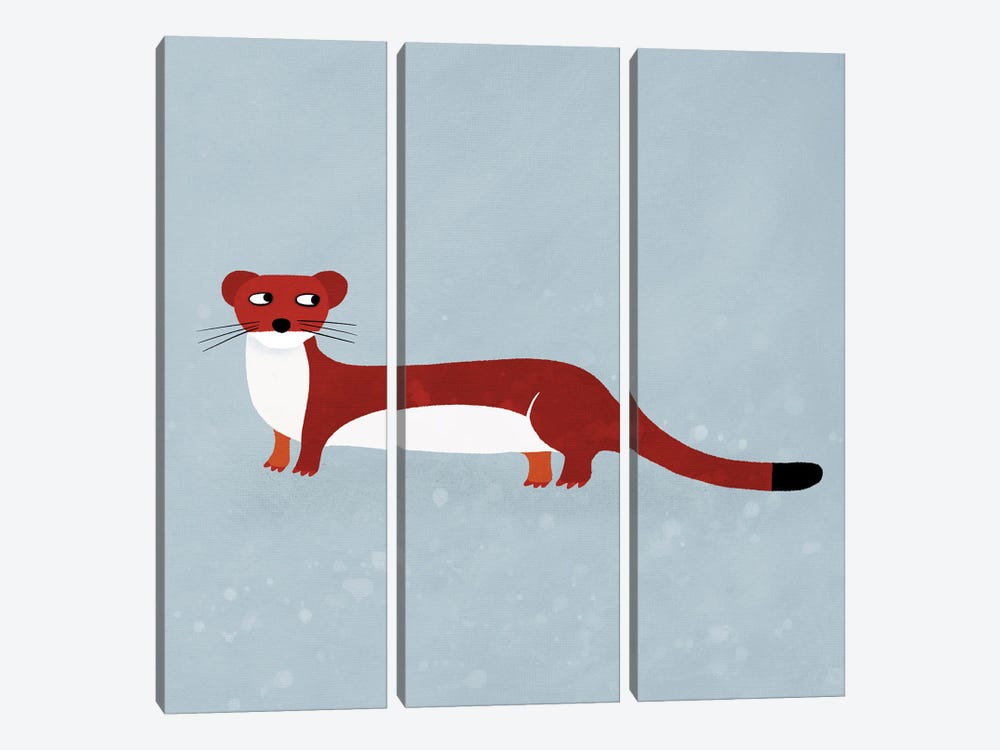 Weasel by Nic Squirrell 3-piece Canvas Art Print
