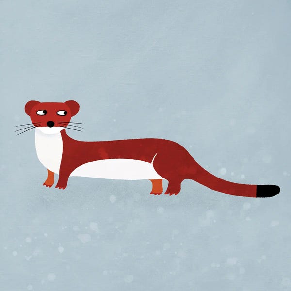 Weasels: Weasel by Nic Squirrell