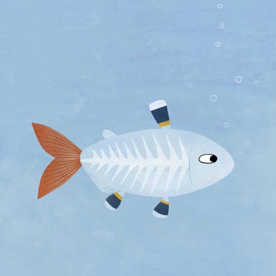 X-Ray Tetra Fish by Nic Squirrell canvas print