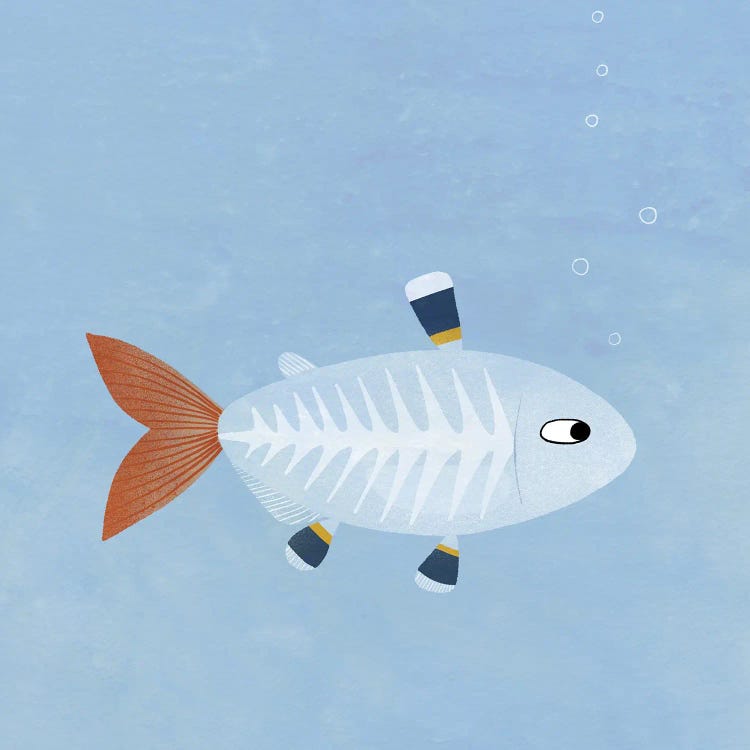 X-Ray Tetra Fish by Nic Squirrell wall art