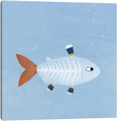 X-Ray Tetra Fish Canvas Art Print - Nic Squirrell