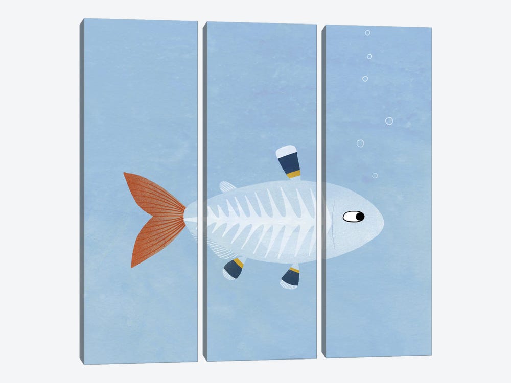 X-Ray Tetra Fish by Nic Squirrell 3-piece Canvas Wall Art