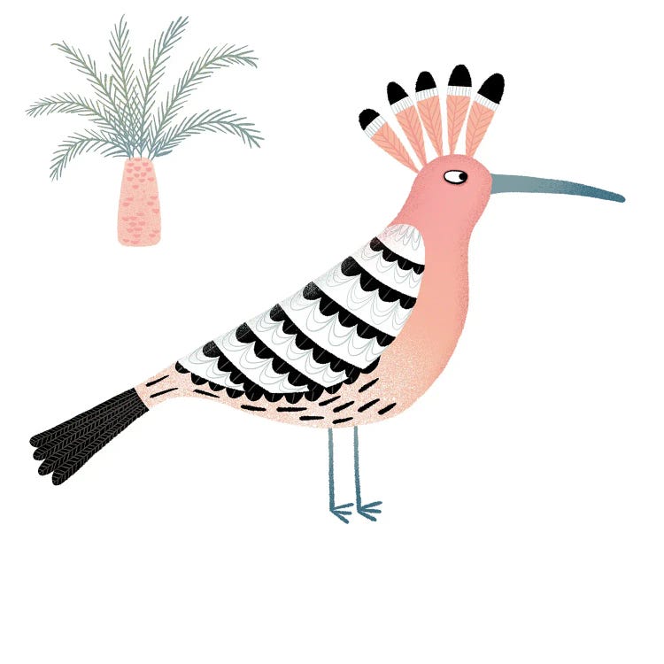 Hoopoe