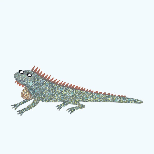Nic Squirrell: Iguana by Nic Squirrell