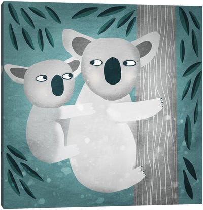 Koala Canvas Art Print - Nic Squirrell