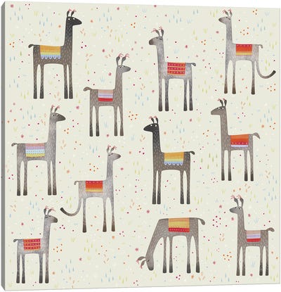 Llamas In A Meadow Canvas Art Print - Llama & Alpaca Art