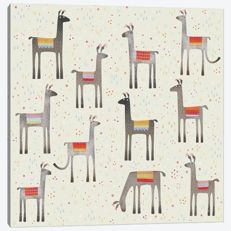 Llamas In A Meadow Canvas Print #NSQ45} by Nic Squirrell Canvas Print
