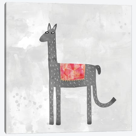 Llama With A Fancy Blanket Canvas Print #NSQ46} by Nic Squirrell Canvas Print