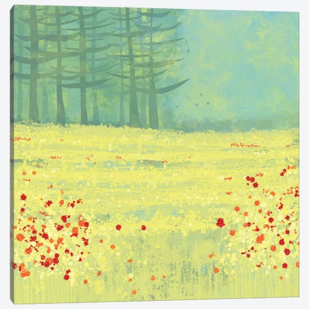 Meadow Near Périgueux Canvas Print #NSQ48} by Nic Squirrell Canvas Art