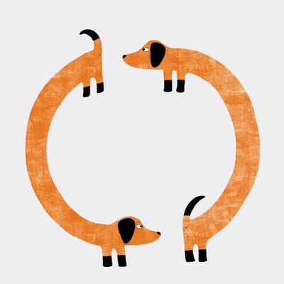 Sausage Dog Perpetual Motion by Nic Squirrell framed wall art