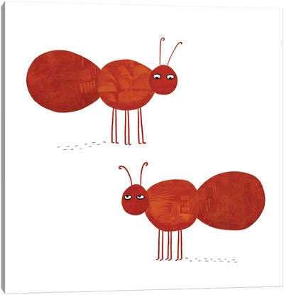 Ants Canvas Art Print