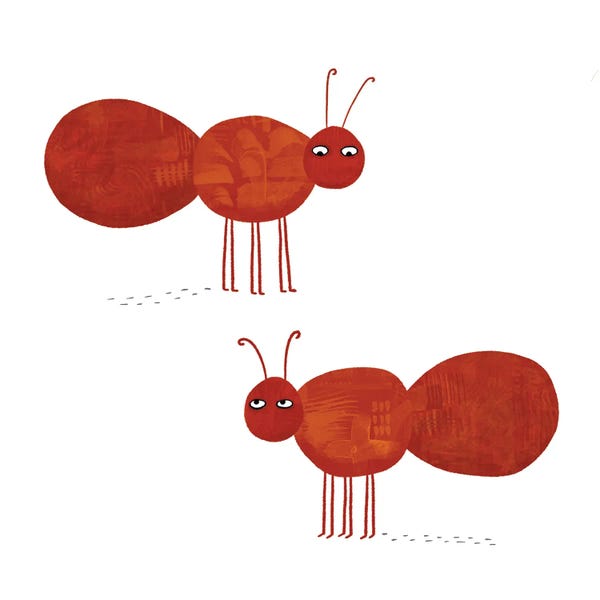 Ants