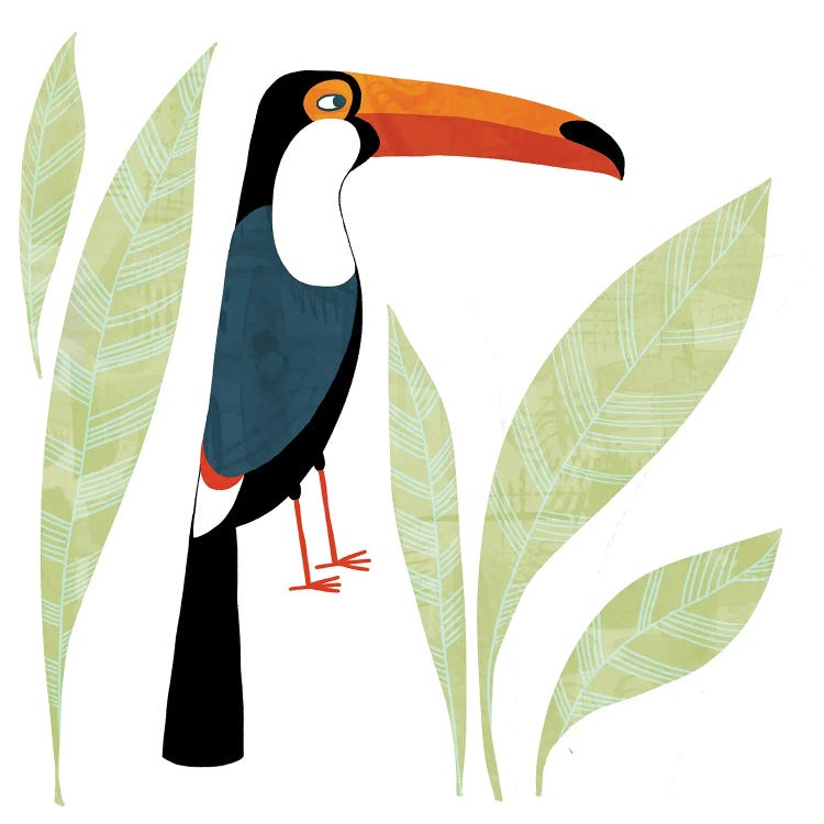 Toucan