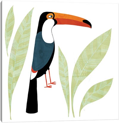 Toucan Canvas Art Print - Toucan Art