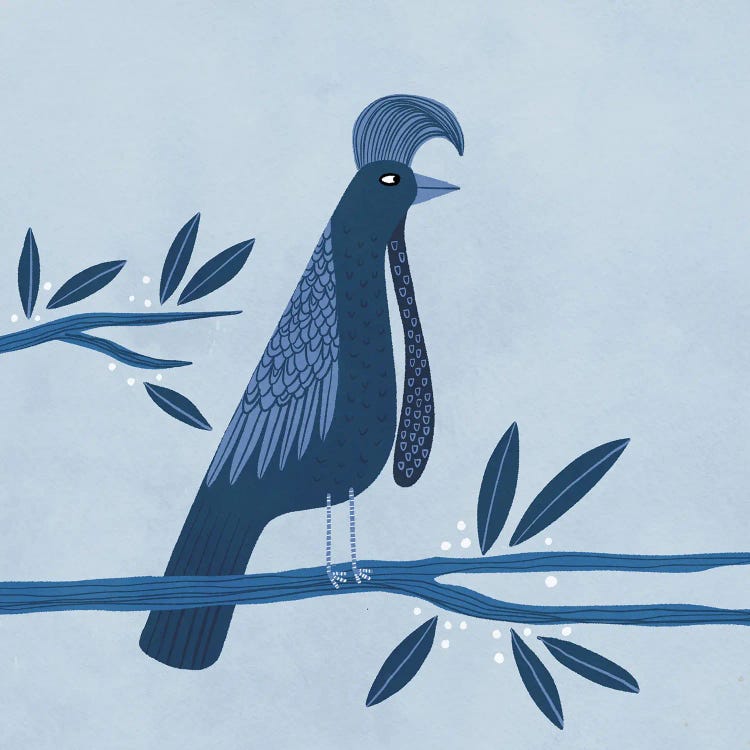 Umbrellabird by Nic Squirrell wall art