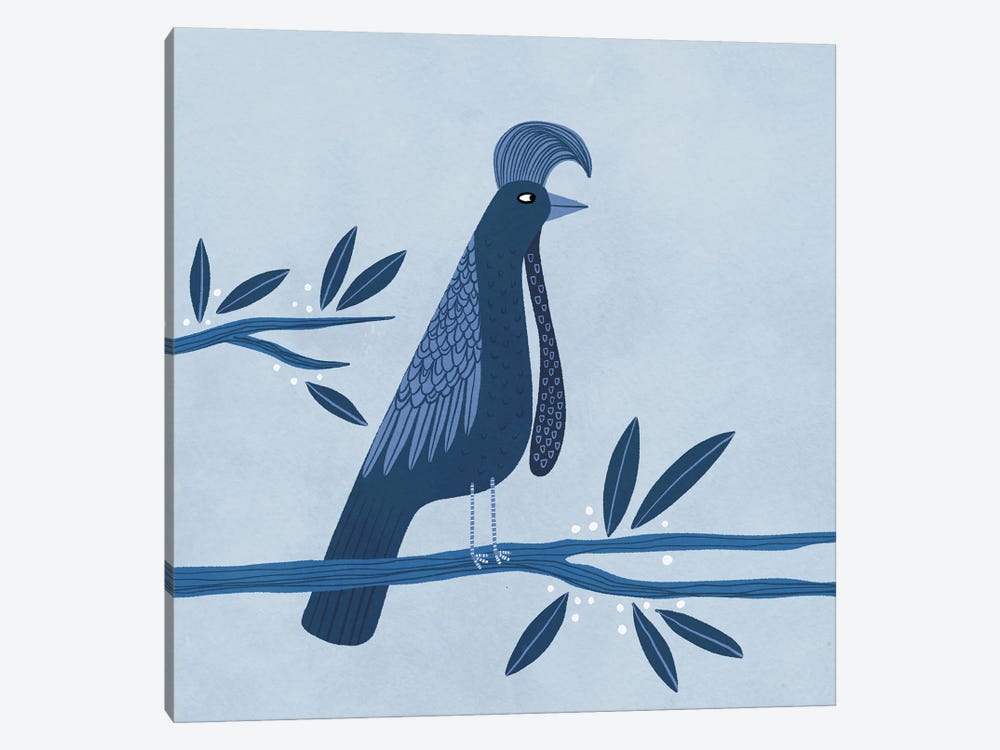Umbrellabird by Nic Squirrell 1-piece Canvas Art Print