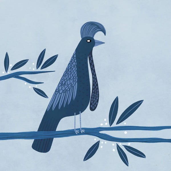 Trees: Umbrellabird by Nic Squirrell