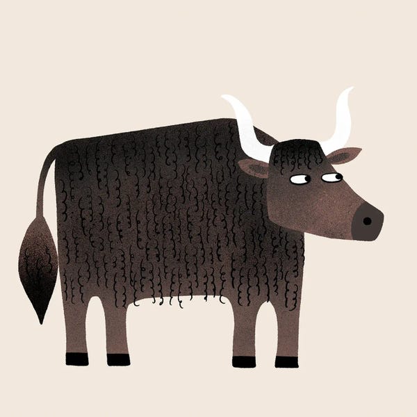 Yaks: Yak by Nic Squirrell