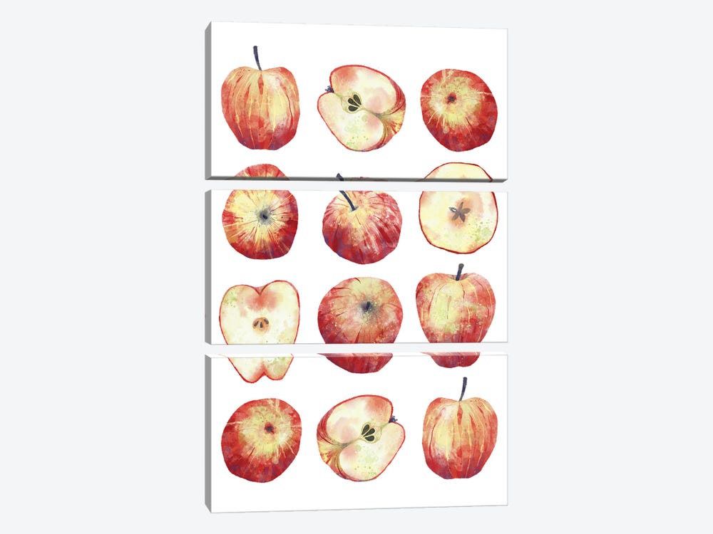 Apples by Nic Squirrell 3-piece Canvas Wall Art