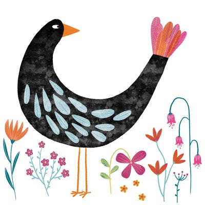 Bird With A Fancy Tail by Nic Squirrell framed wall art