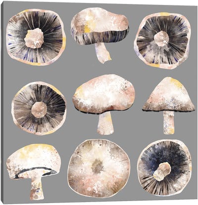 Mushrooms Canvas Art Print - Nic Squirrell