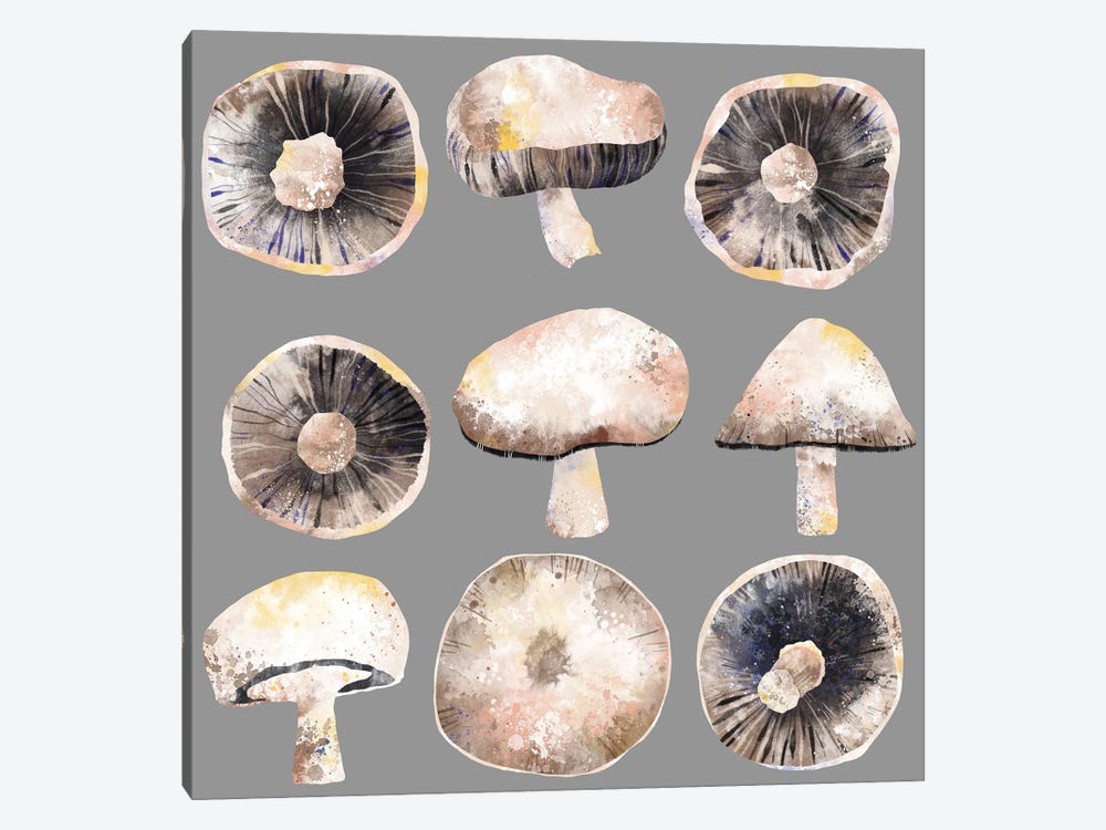 Mushrooms by Nic Squirrell 1-piece Canvas Art Print