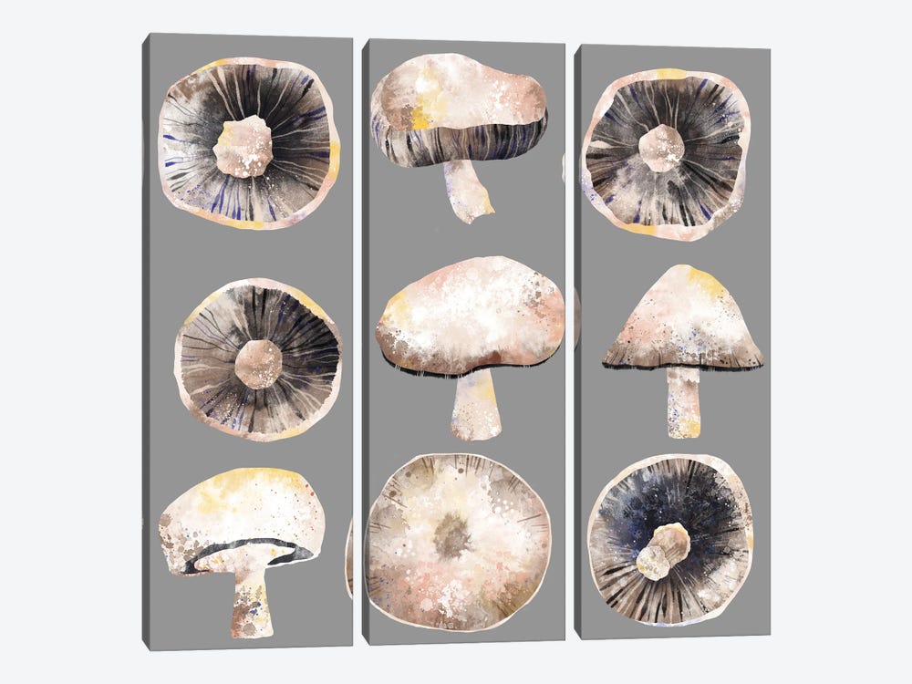 Mushrooms by Nic Squirrell 3-piece Art Print