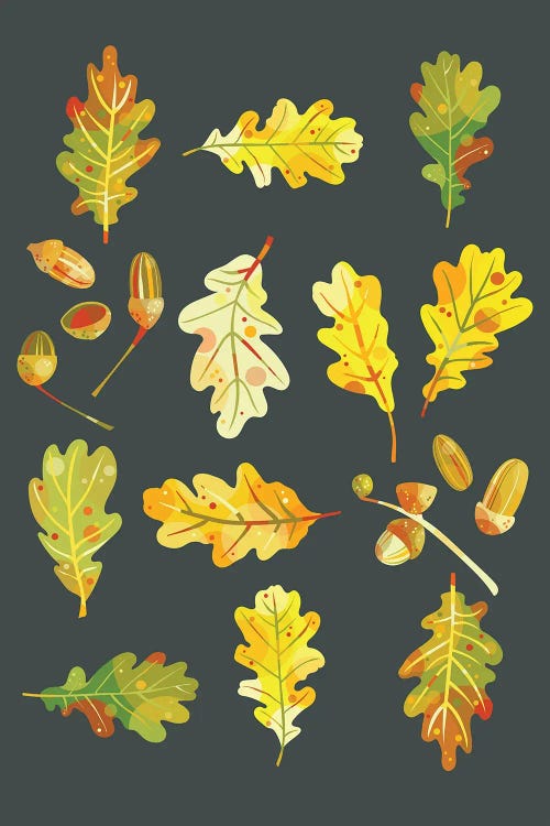 Oak Leaves And Acorns