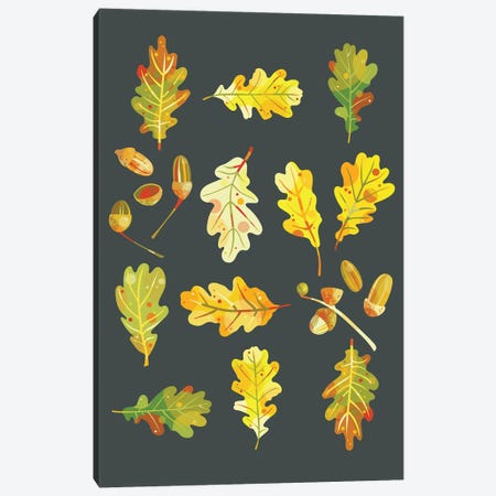 Oak Leaves And Acorns Canvas Print #NSQ81} by Nic Squirrell Canvas Art