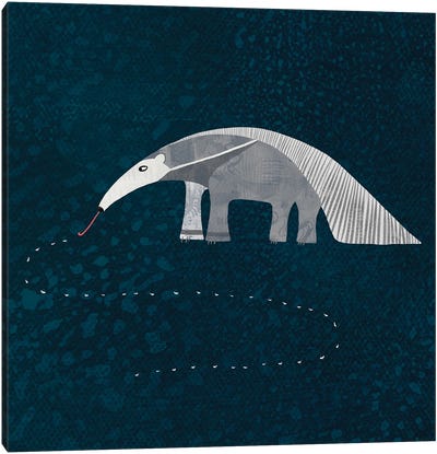 Giant Anteater Canvas Art Print - Nic Squirrell