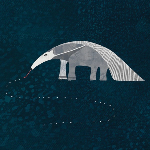Nic Squirrell: Giant Anteater by Nic Squirrell