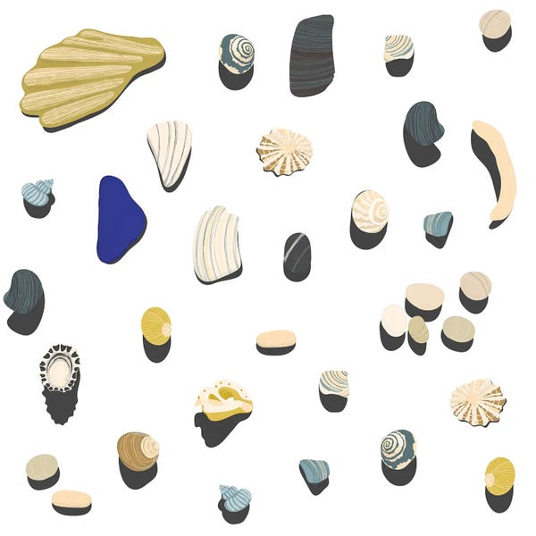 Authentic Eclectic: Beachcombing by Nic Squirrell