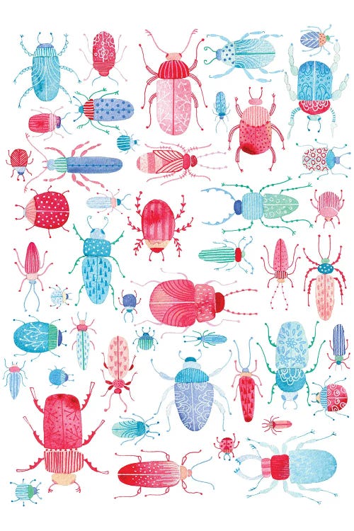 Beetles by Nic Squirrell wall art