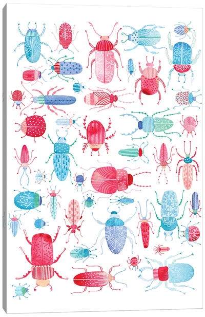 Beetles Canvas Art Print - Nic Squirrell