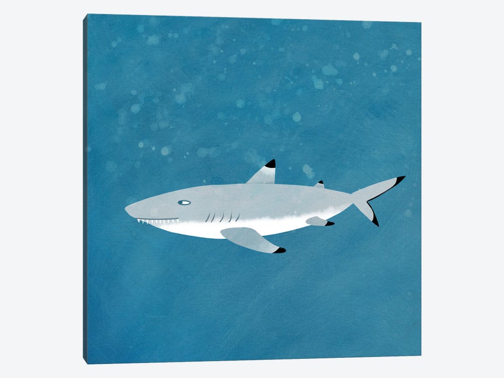 Black Tipped Reef Shark by Nic Squirrell 1-piece Canvas Art Print
