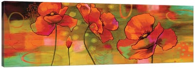 Magical Poppies Canvas Art Print