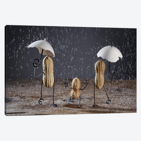 Simple Thing. Rain. Canvas Print #NSZ108} by Nailia Schwarz Art Print