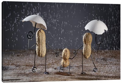 Simple Thing. Rain. Canvas Art Print - Nailia Schwarz