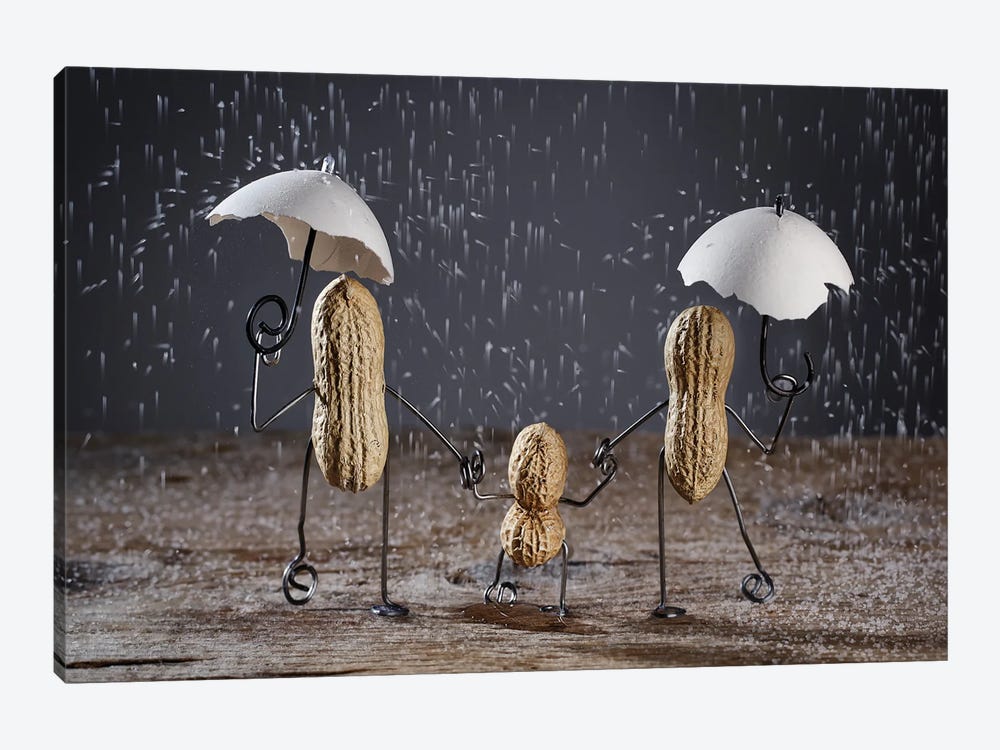 Simple Thing. Rain. by Nailia Schwarz 1-piece Canvas Print